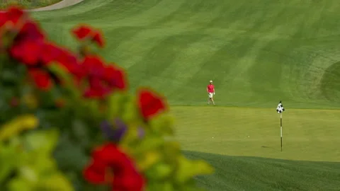 Golf course Stock Footage 145204261