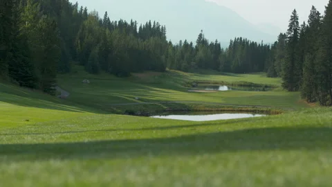 Golf course Stock Footage 145274638