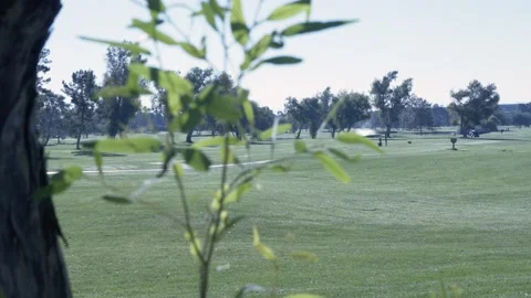 Golf Course Stock Footage 169260118