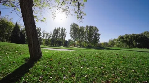 Golf course Video stock 234981332