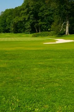 Golf course in forest Stock Photos