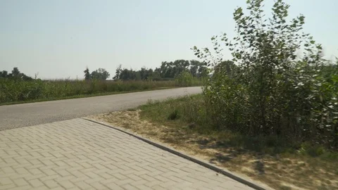 Golf course from a golf car Stock Footage 96011922