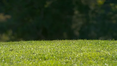 Golf Course, Golf, Swinging, Golf Club, Surface Level, Outdoors, Day, Medium Stock Footage 94108239