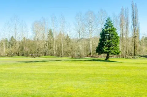Golf course with gorgeous green Stock Photos