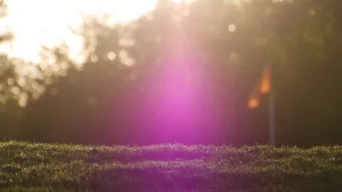 Golf course grass with flag in bg in the morning Stock Footage 82901629