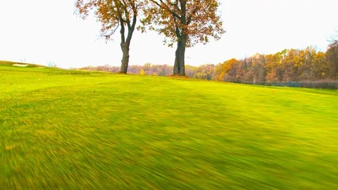 Golf course grass Stock Footage 120773520