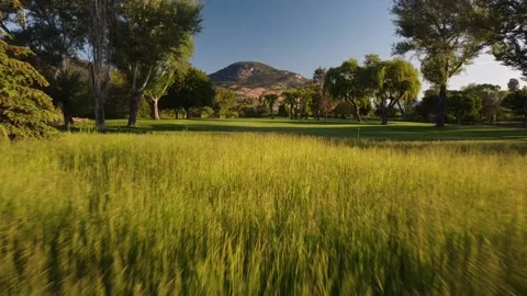 Golf Course grasses Stock Footage 146025122