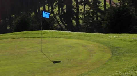 Golf Course Green Видео 10981574