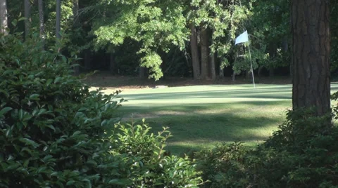 Golf Course Green Stockbeeldmateriaal 37921993