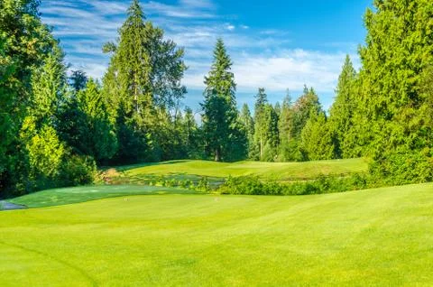 The golf course with green grass and trees over blue sky. 스톡 사진