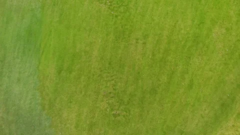 Golf Course Green Grass. Stock Footage 125709880