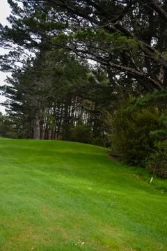 Golf Course green Stock Photos