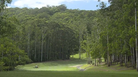 Golf Course with gumtrees Stock Footage 112047785