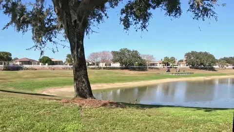Golf course lake with players and homes at The Villages Florida Vídeos de archivo 331403716
