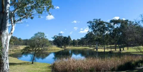 Golf course  lake surrounded by eucalyptus gum trees against blue sky Stock Photos