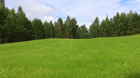 Golf course landscape with green grass and yellow leaves Видео 168985524