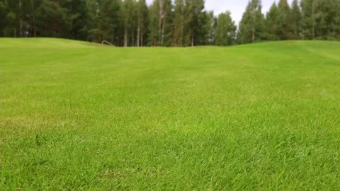 Golf course landscape with green grass and yellow leaves Video stock 179519533