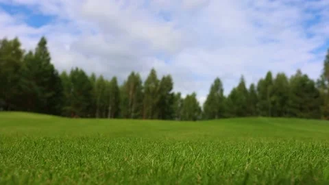 Golf course landscape with green grass and yellow leaves Video stock 179519810