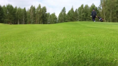 Golf course landscape with green grass and yellow leaves Video stock 179520068