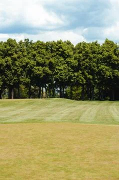 Golf course landscape Stock Photos