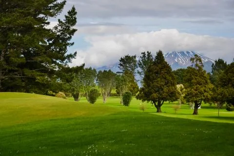 Golf Course Landscaping with Trees Stock Photos