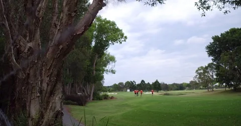 Golf course lessons panorama Stock Footage 69988565