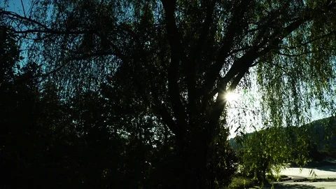 Golf Course Morning Dew Stock Footage 69778229