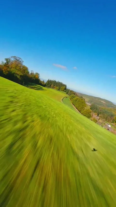 Golf course in the morning Video stock 273074554