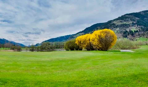 Golf course in mountains Stock Photos