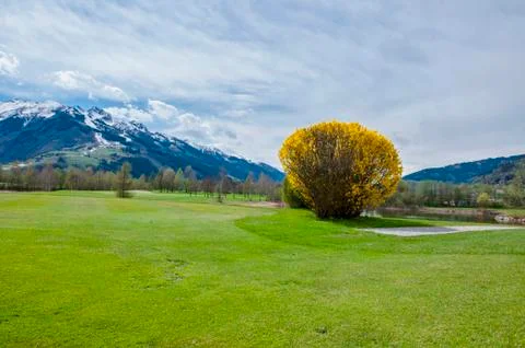 Golf course in mountains Stock Photos