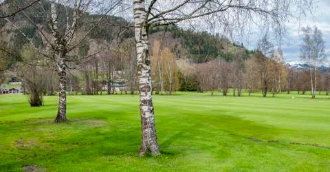 Golf course in mountains Stock Photos