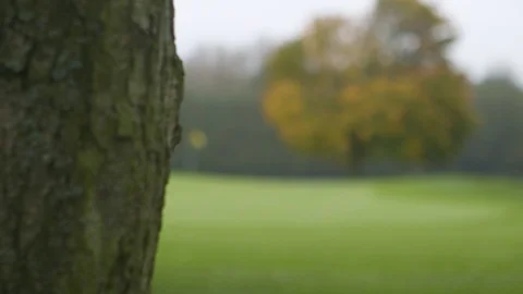 Golf Course Pan Stock Footage 127036004