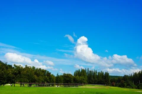 Golf course Stock Photos