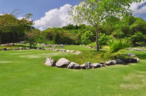 Golf course Stock Photos