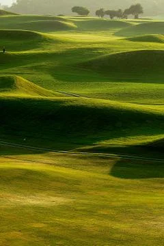 Golf course Stock Photos
