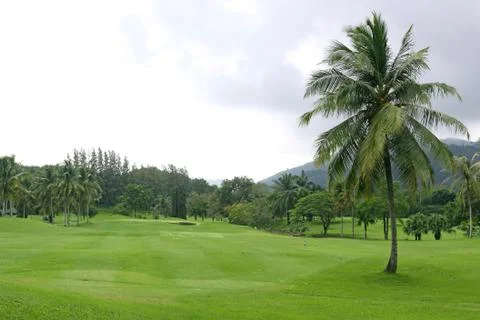 Golf course Stock Photos