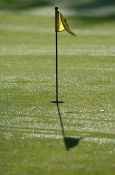 On the golf course Stock Photos