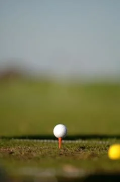 On the golf course Stock Photos