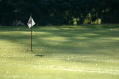 On the golf course Stock Photos