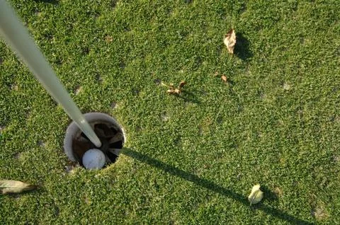 On the golf course Stock Photos