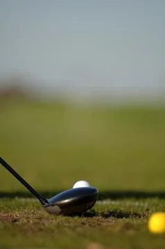 On the golf course Stock Photos