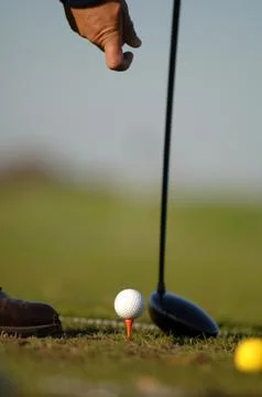 On the golf course Stock Photos