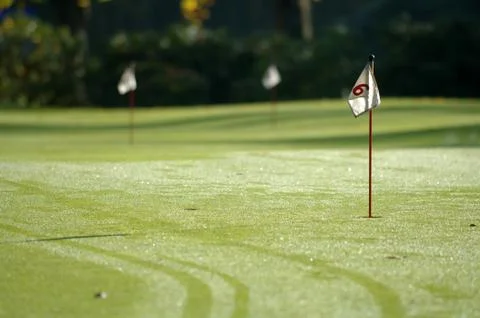 On the golf course Stock Photos
