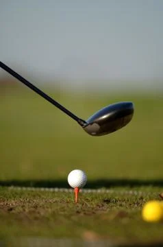 On the golf course Stock Photos