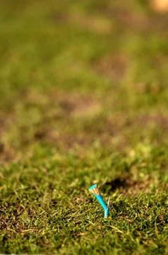 On the golf course Stock Photos
