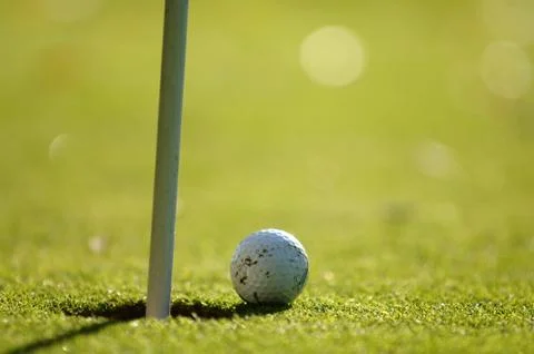 On the golf course Stock Photos