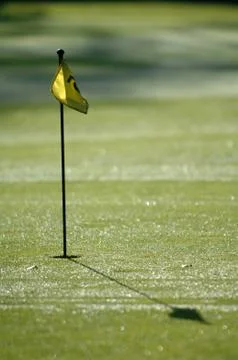 On the golf course 스톡 사진