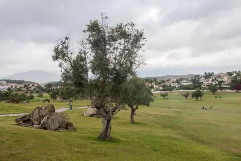 Golf course Stock Photos