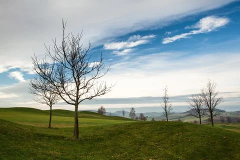 Golf course  스톡 사진
