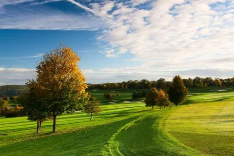 On the golf course  写真素材
